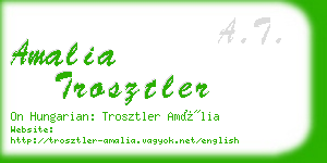 amalia trosztler business card